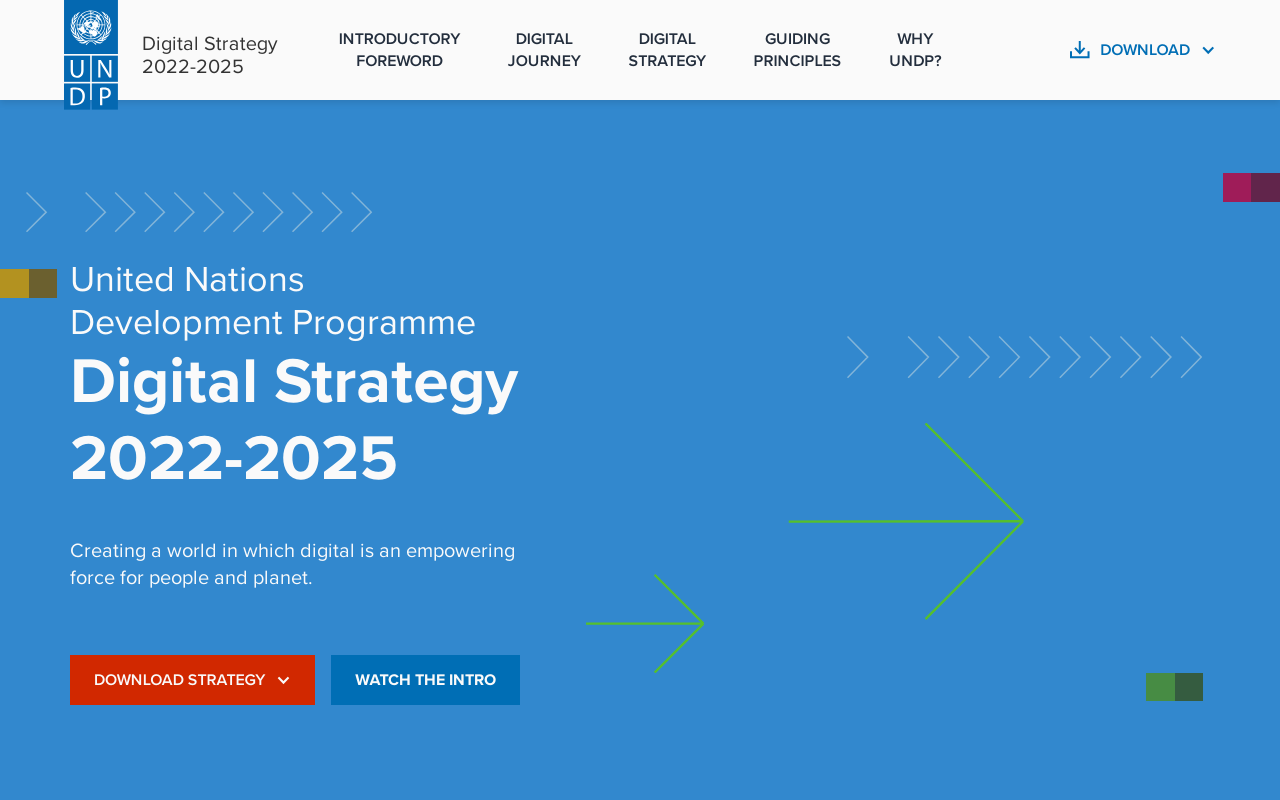 UNDP Digital Strategy