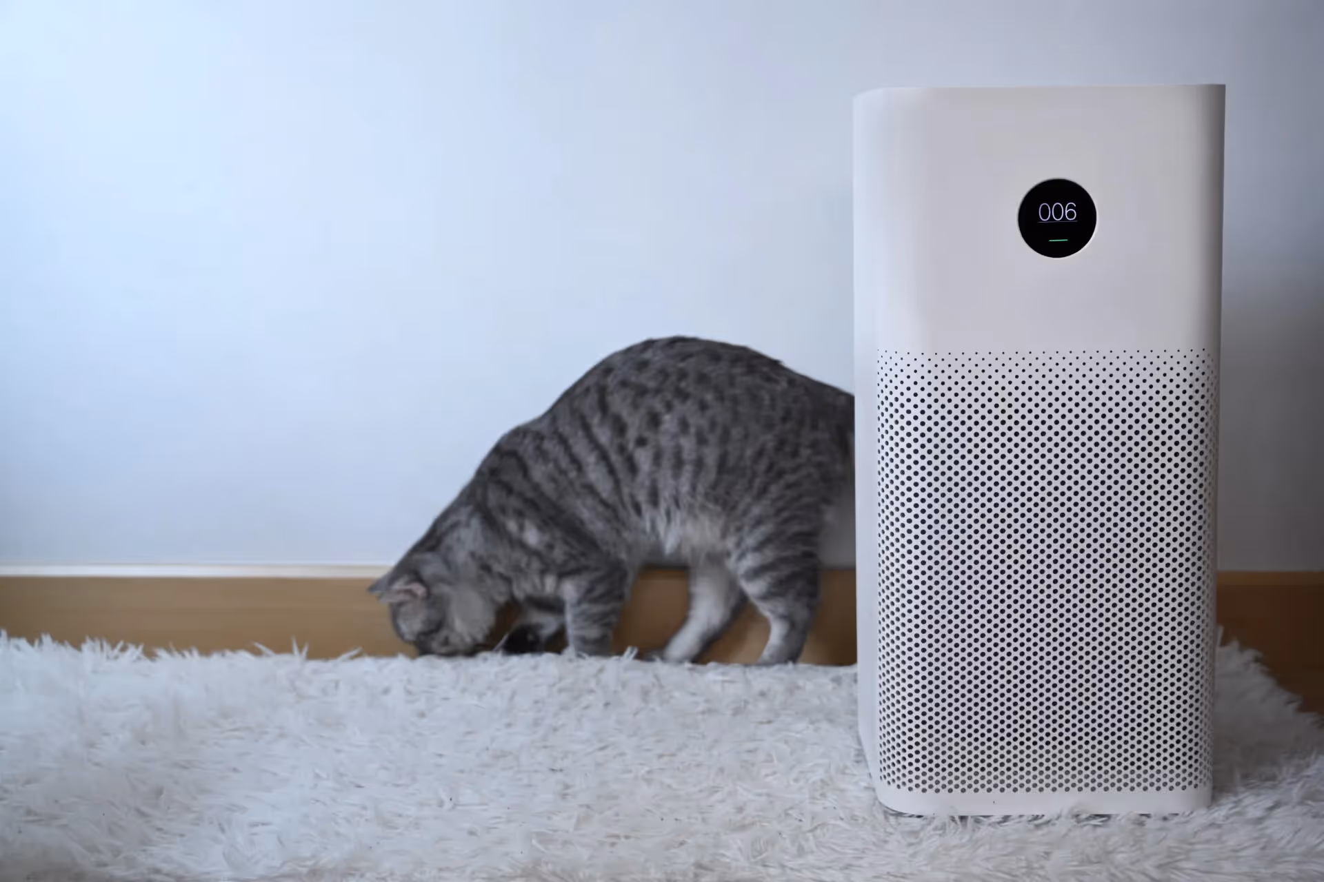 A Room-By-Room Approach to Enhancing Indoor Air Quality: Practical Tips for Cleaner Air