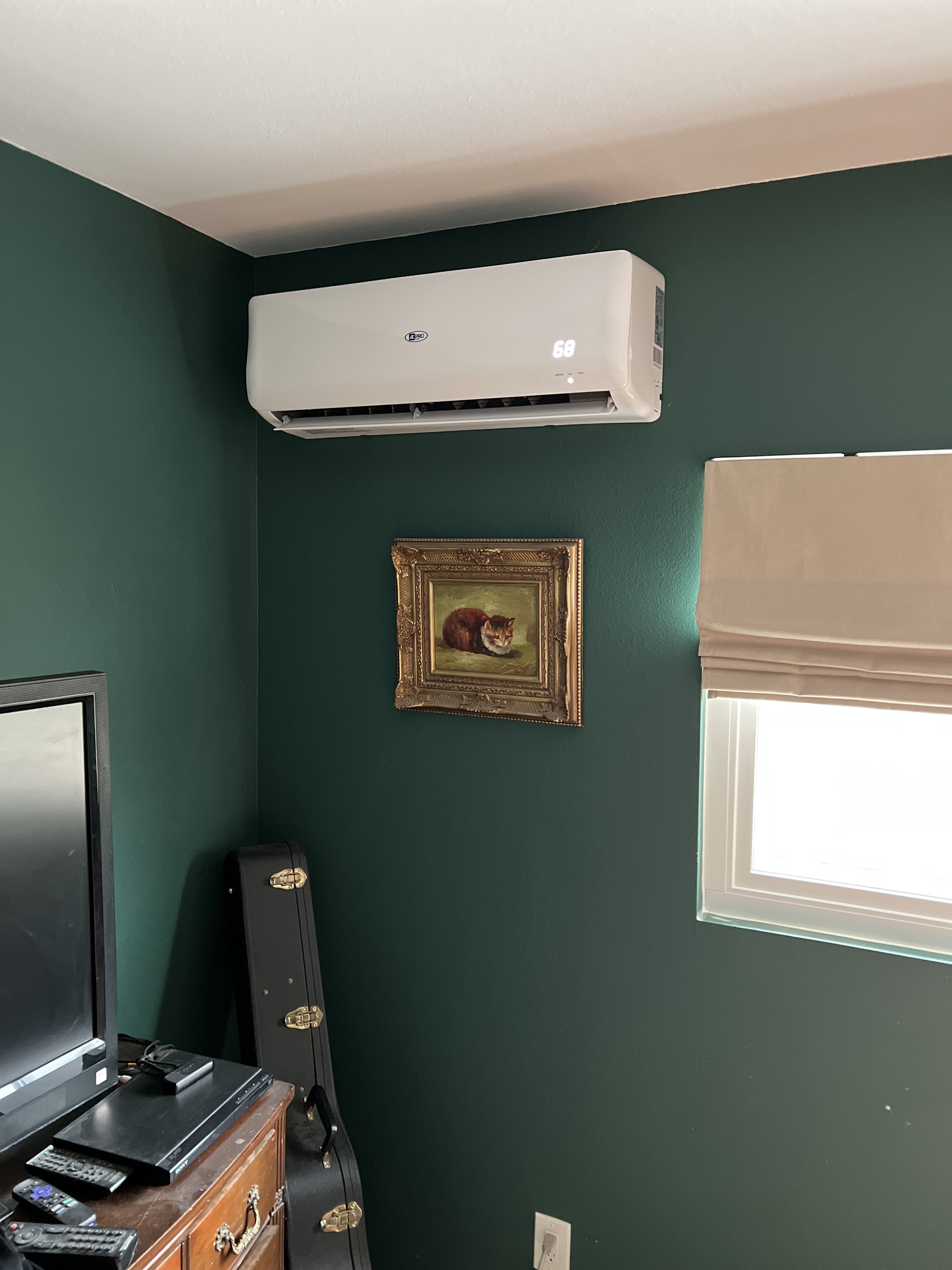 Green room with air conditioner and framed painting of a cat