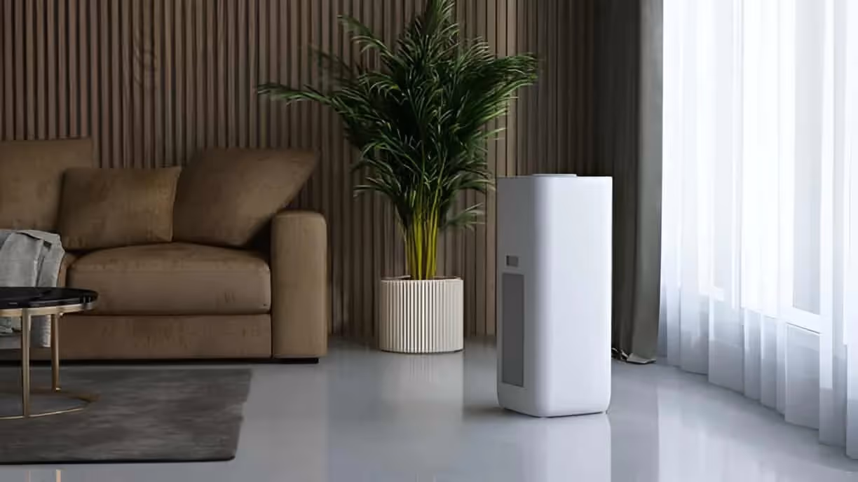 Modern living room with brown sofa, green plant, and white air purifier