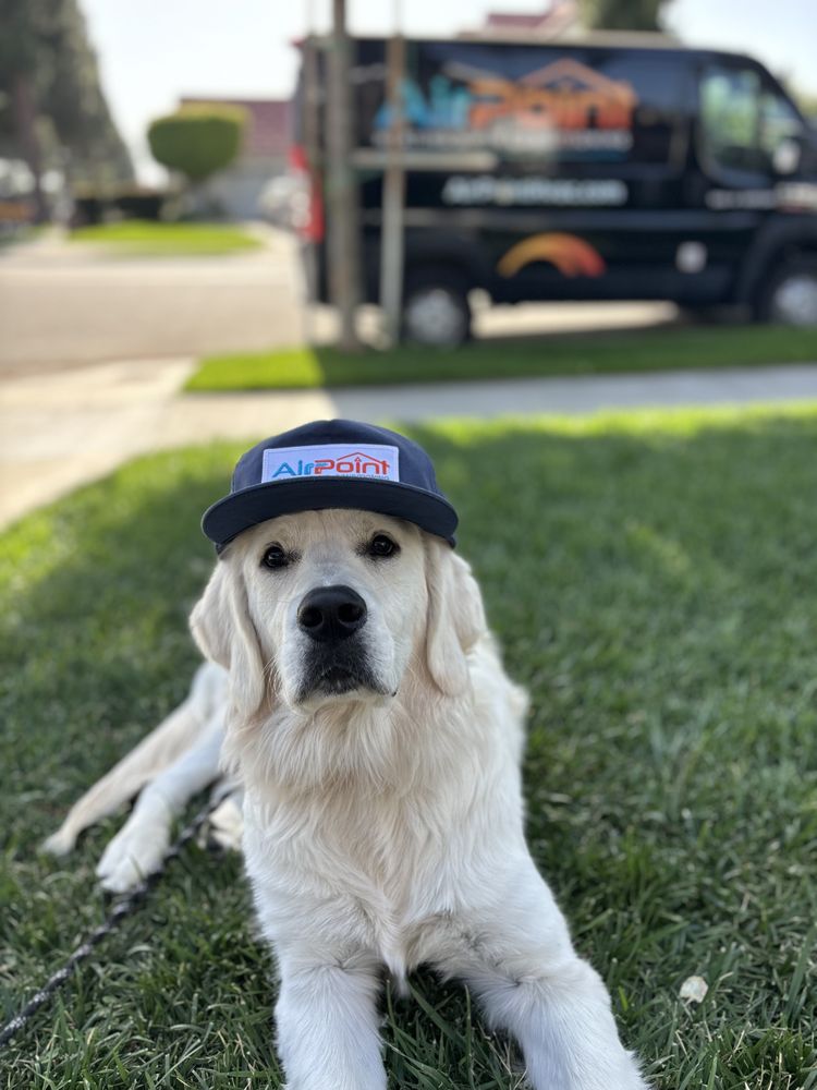 Golden retriever wearing AirPoint hat sitting on grass with AirPoint service van in background.