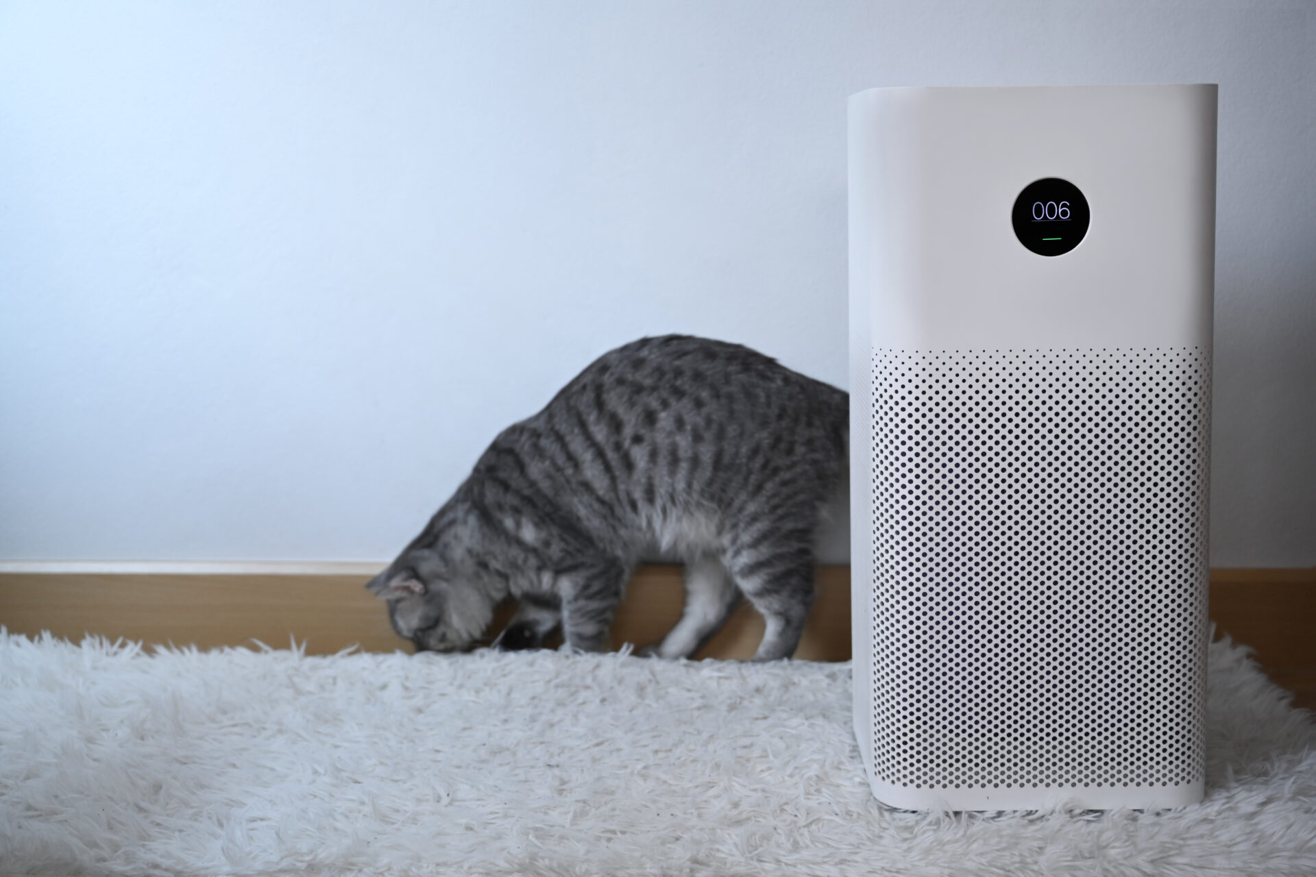 A Room-By-Room Approach to Enhancing Indoor Air Quality: Practical Tips for Cleaner Air