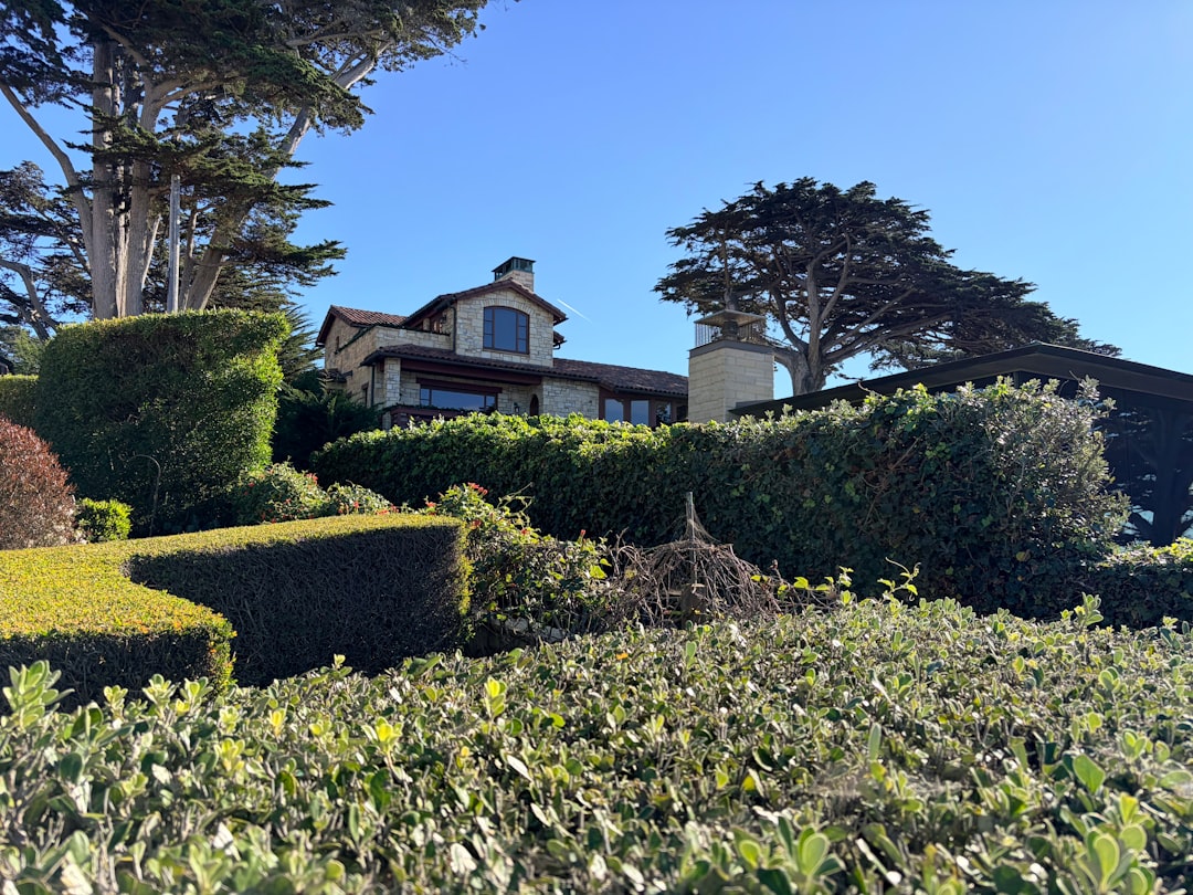 The Hot and Cold Truth About Heat Pump Replacement in Cypress CA