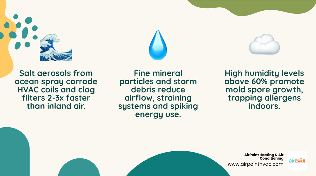 Infographic showing coastal air pollutants including salt aerosols, mold spores, humidity, and their effects on HVAC filters