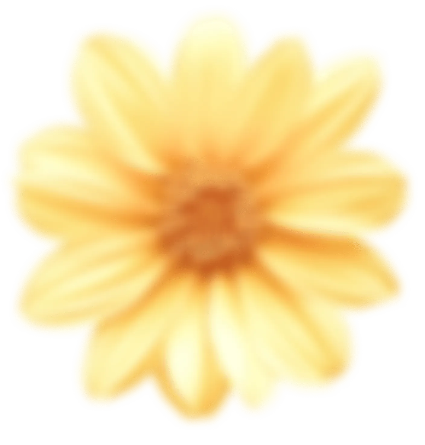 A vibrant yellow flower, showcasing its rich colour and delicate details.