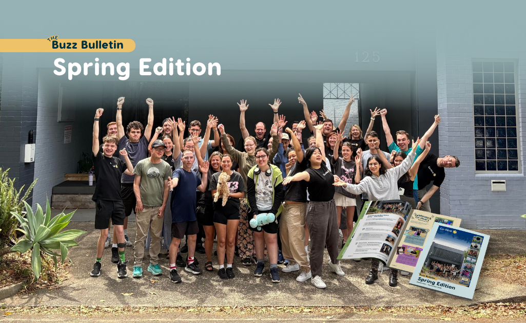 The Buzz Bulletin - Spring Edition