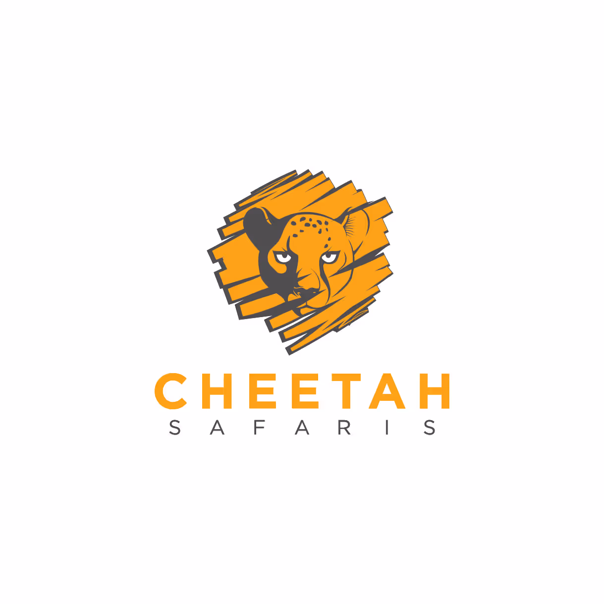 Cheetah Safaris brand identity by Vibur Studio