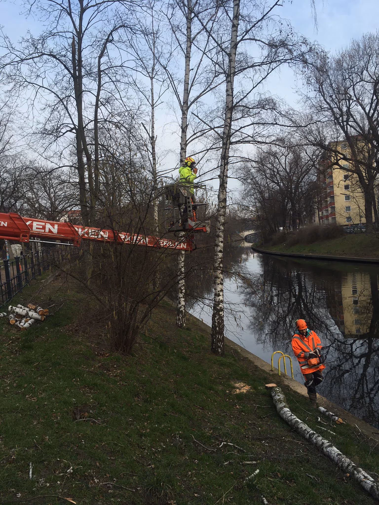 Baumpflege am Ufer mit spezieller Sicherungstechnik