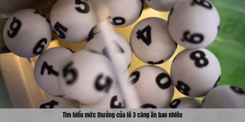 Tìm hiểu mức thưởng của lô 3 càng ăn bao nhiêu