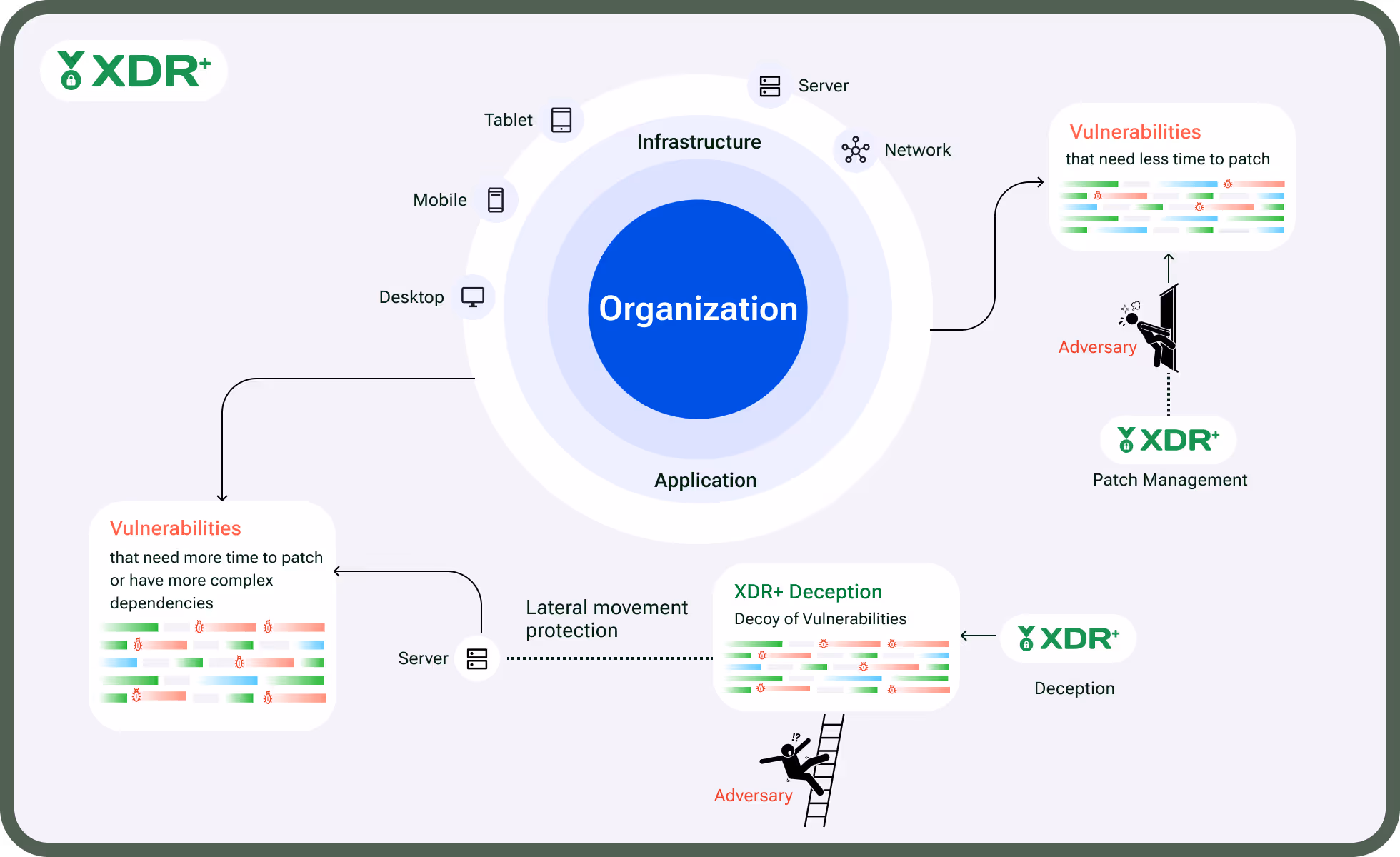 XDR Plus Diagram
