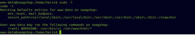 Understanding Swagshop