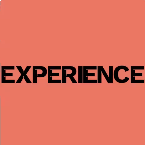 Experience