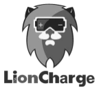 lion charge