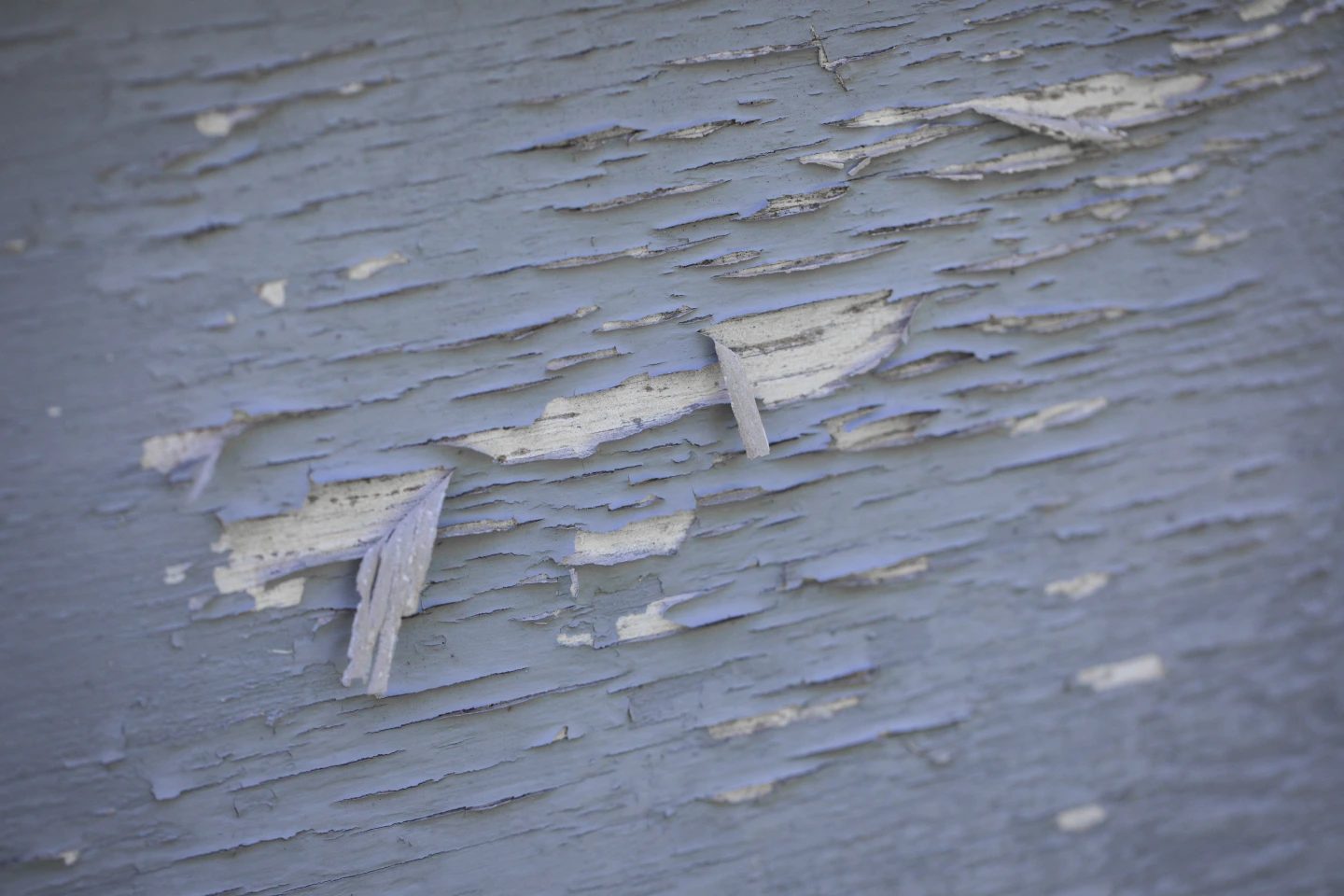 Close-up of weathered blue paint peeling off a wooden surface, revealing layers of texture and varying shades beneath.