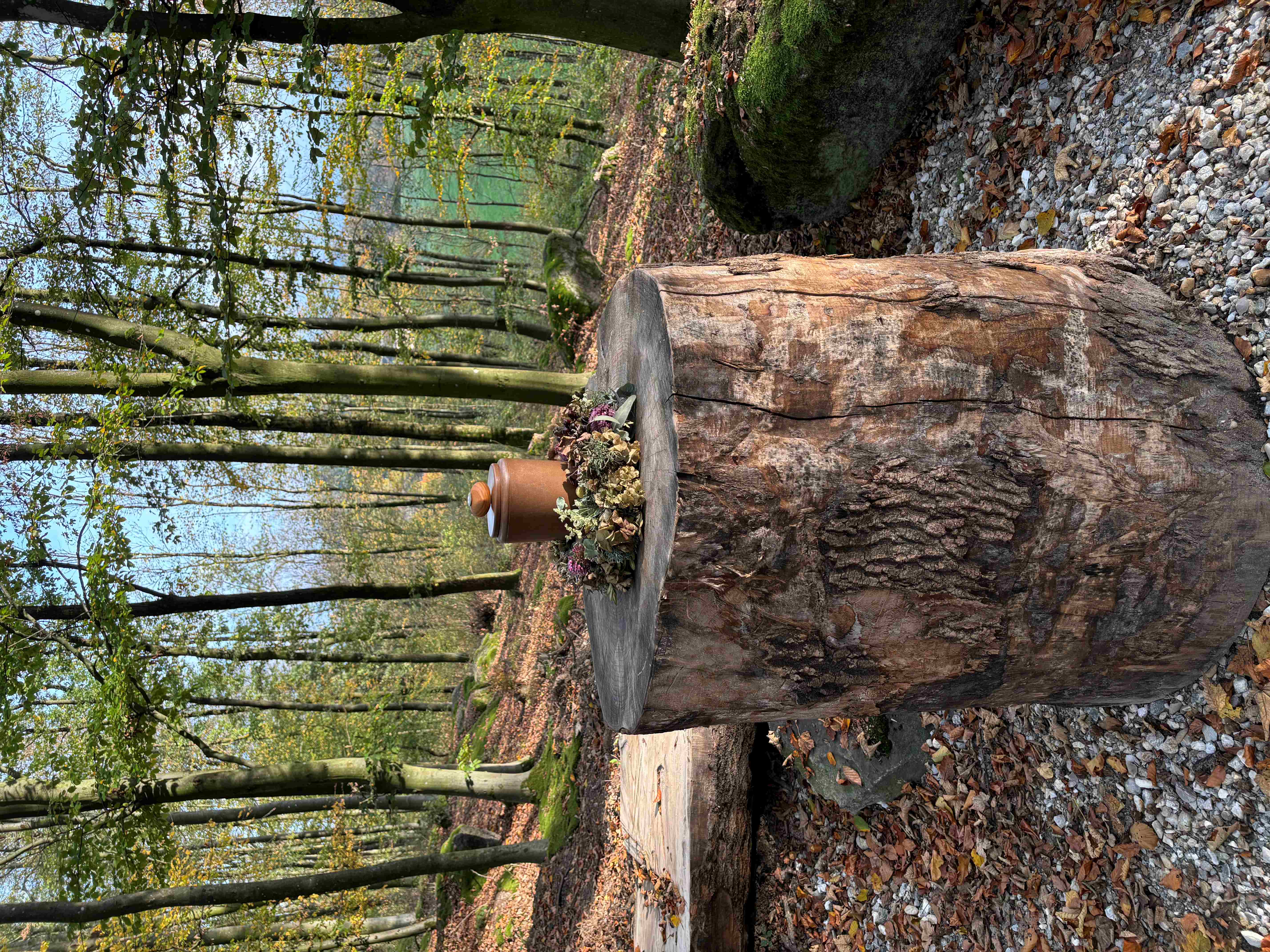Naturfriedhof Linz Pfenningberg Wald