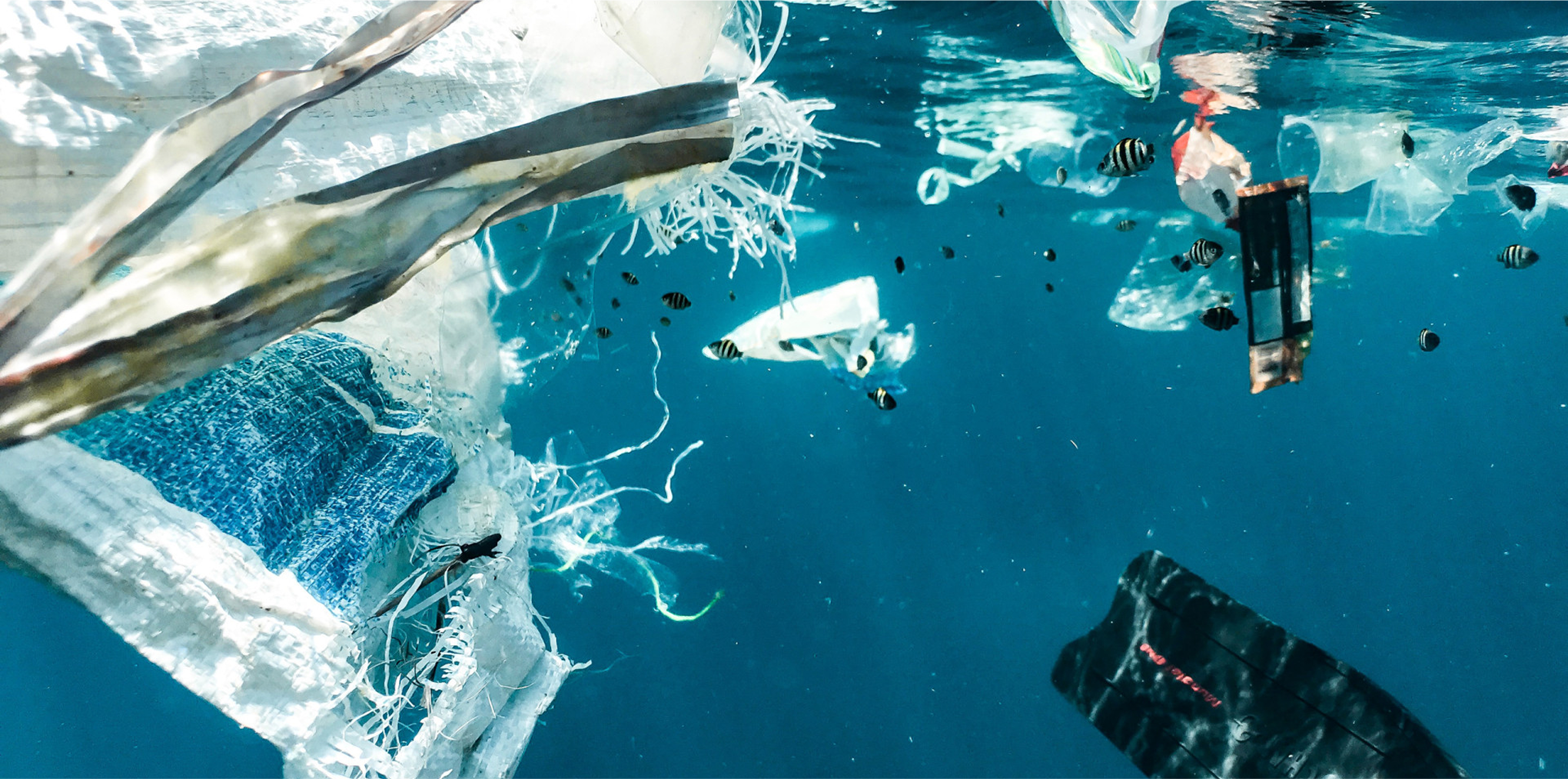 underwater  picture
