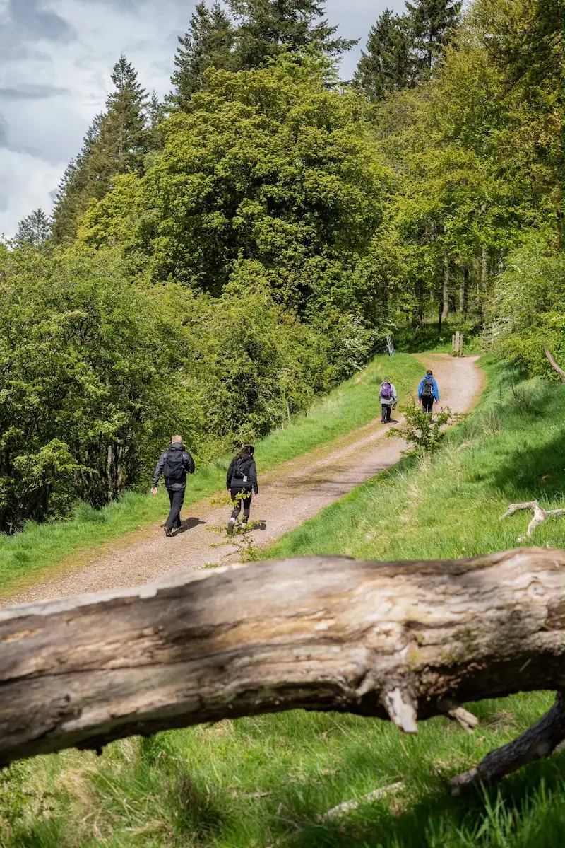 Westmorland Miles for Minds