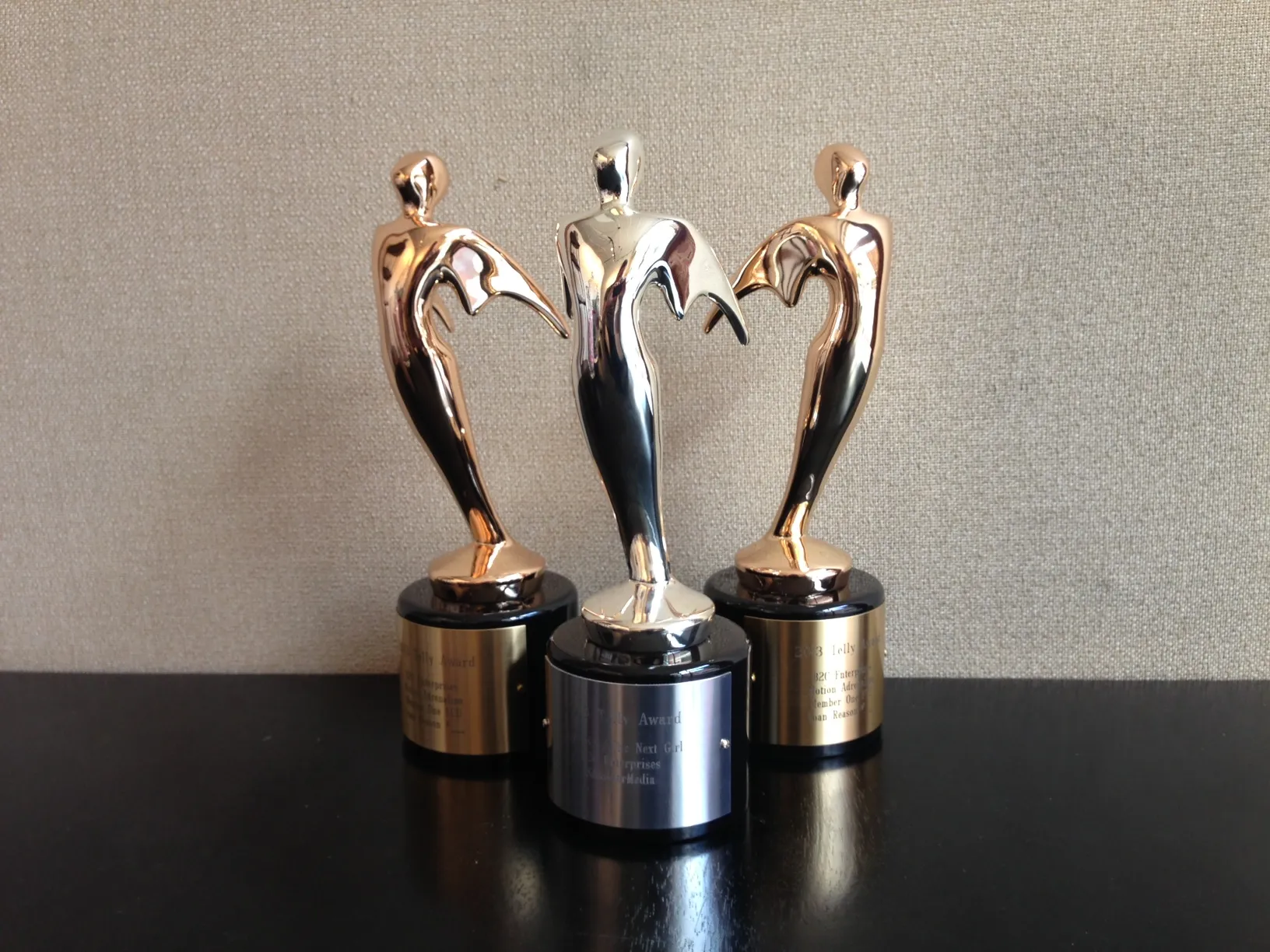 B2C Enterprises Selected a Winner in the 37th Annual Telly Awards