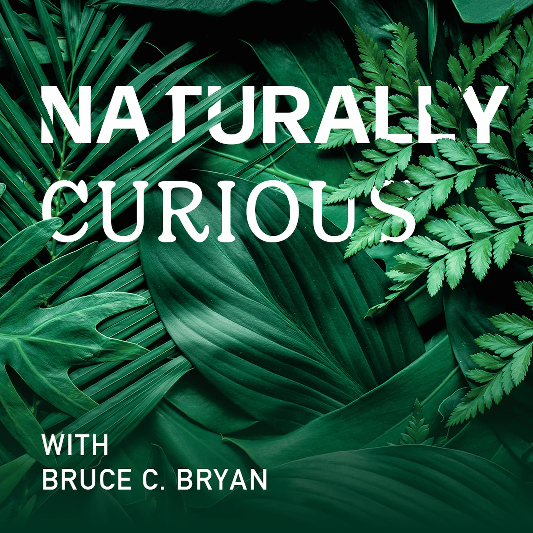 Uncover the Human Side of Leadership with “Naturally Curious” on Radio IQ