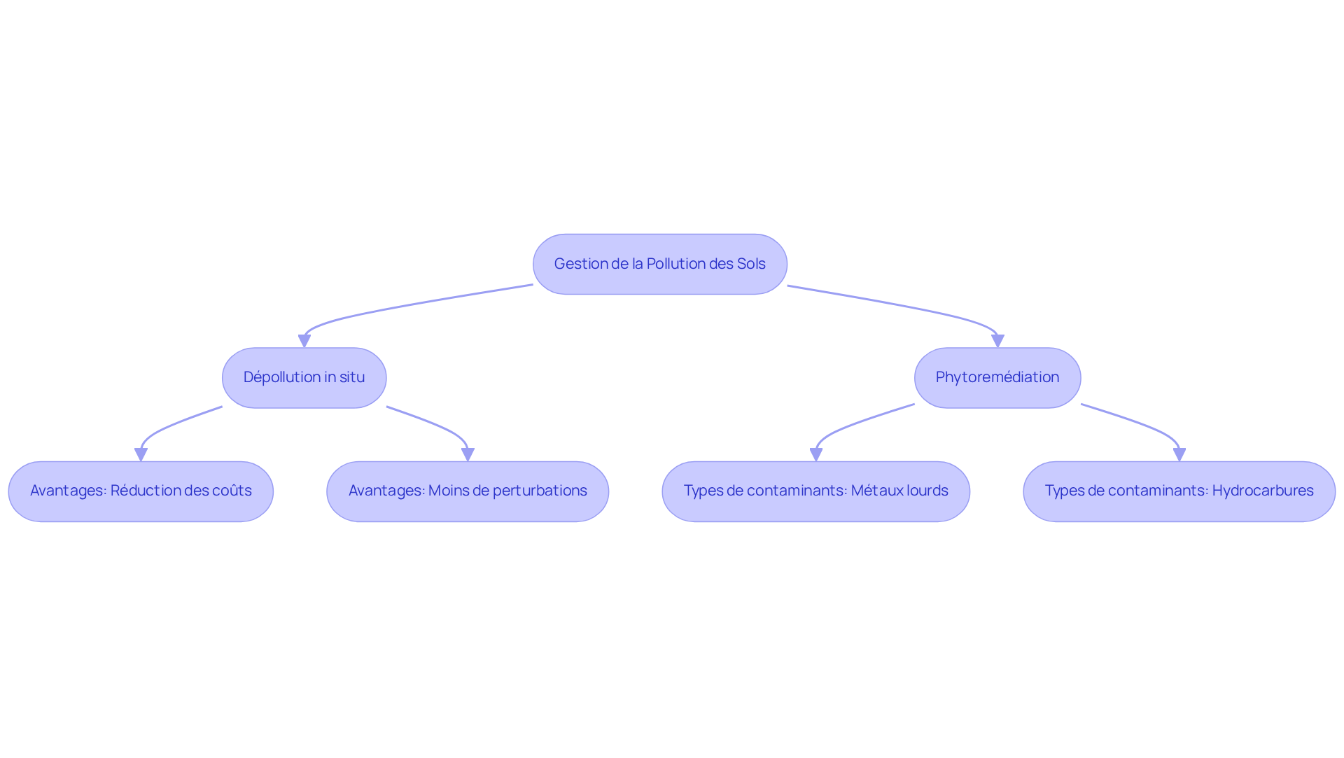 Chaque méthode de dépollution est représentée par une boîte. Suivez les flèches pour voir comment chaque solution contribue à la gestion de la pollution des sols. Les détails sous chaque méthode expliquent pourquoi elles sont efficaces.