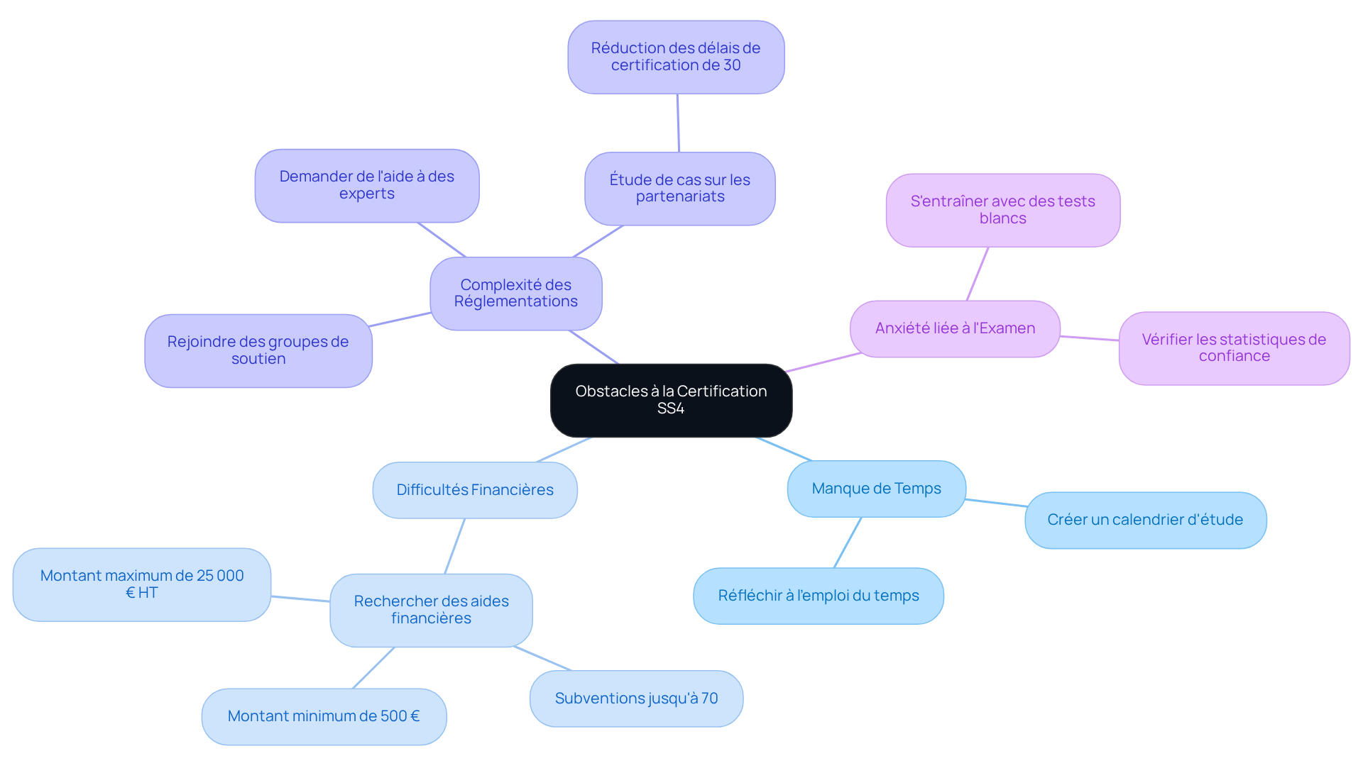 Chaque branche représente un obstacle à la certification, et les sous-branches montrent les solutions possibles. Suivez les connexions pour voir comment chaque défi peut être abordé. Chaque branche représente un obstacle à la certification, et les sous-branches montrent les solutions possibles. Suivez les connexions pour voir comment chaque défi peut être abordé.