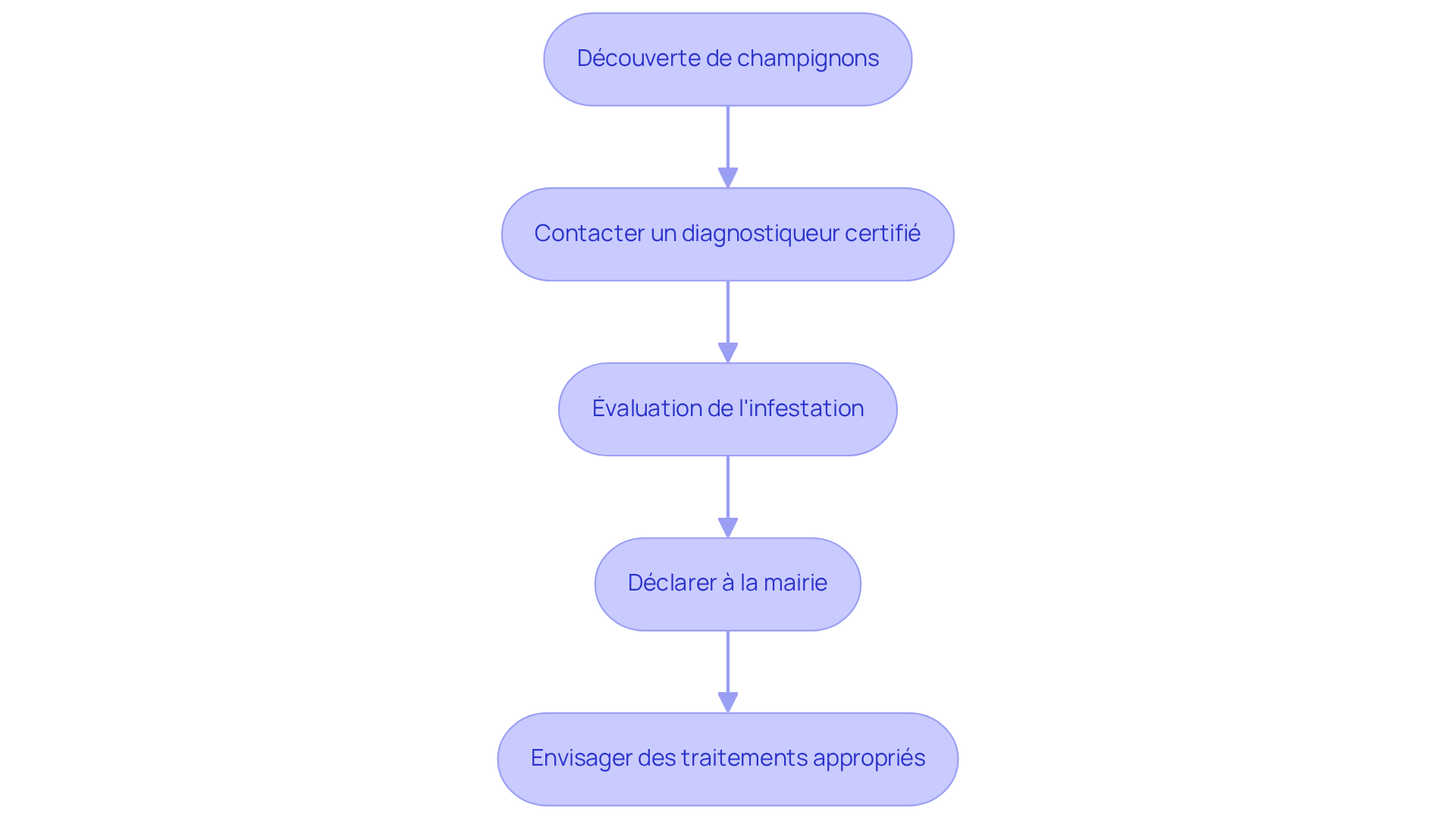 Chaque boîte représente une étape à suivre. Suivez les flèches pour voir comment passer d'une étape à l'autre, afin de gérer efficacement la situation de mérule. Chaque boîte représente une étape à suivre. Suivez les flèches pour voir comment passer d'une étape à l'autre, afin de gérer efficacement la situation de mérule.