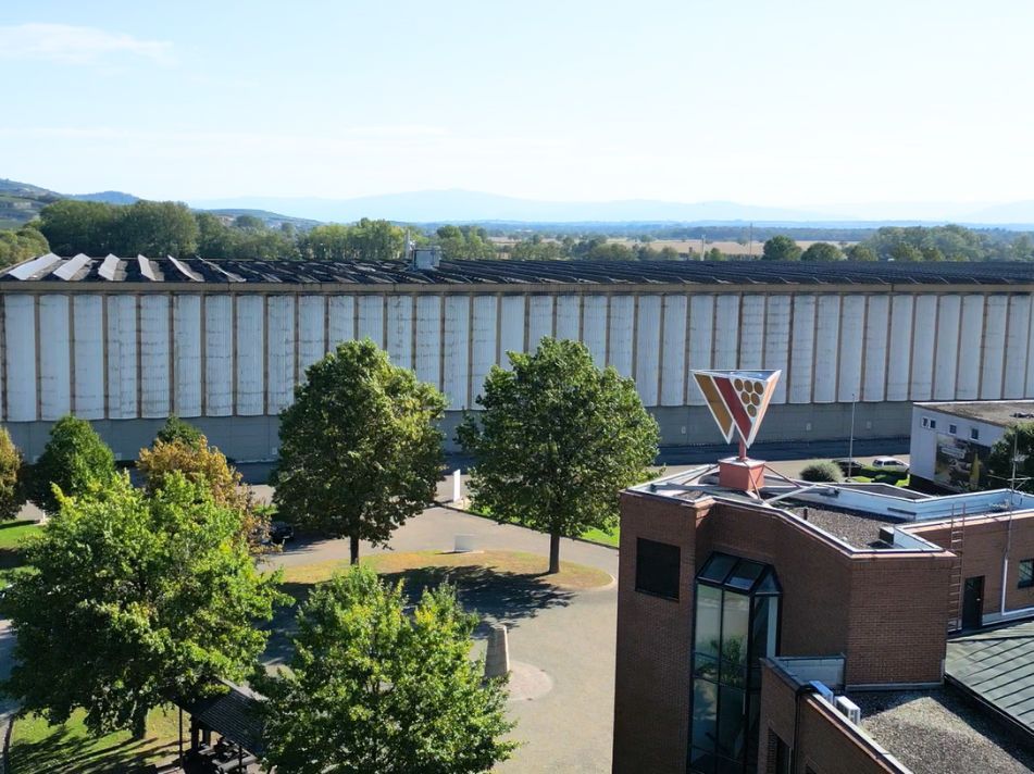 Badischer Winzerkeller eG in Breisach – Wein vom Vulkan am Kaiserstuhl