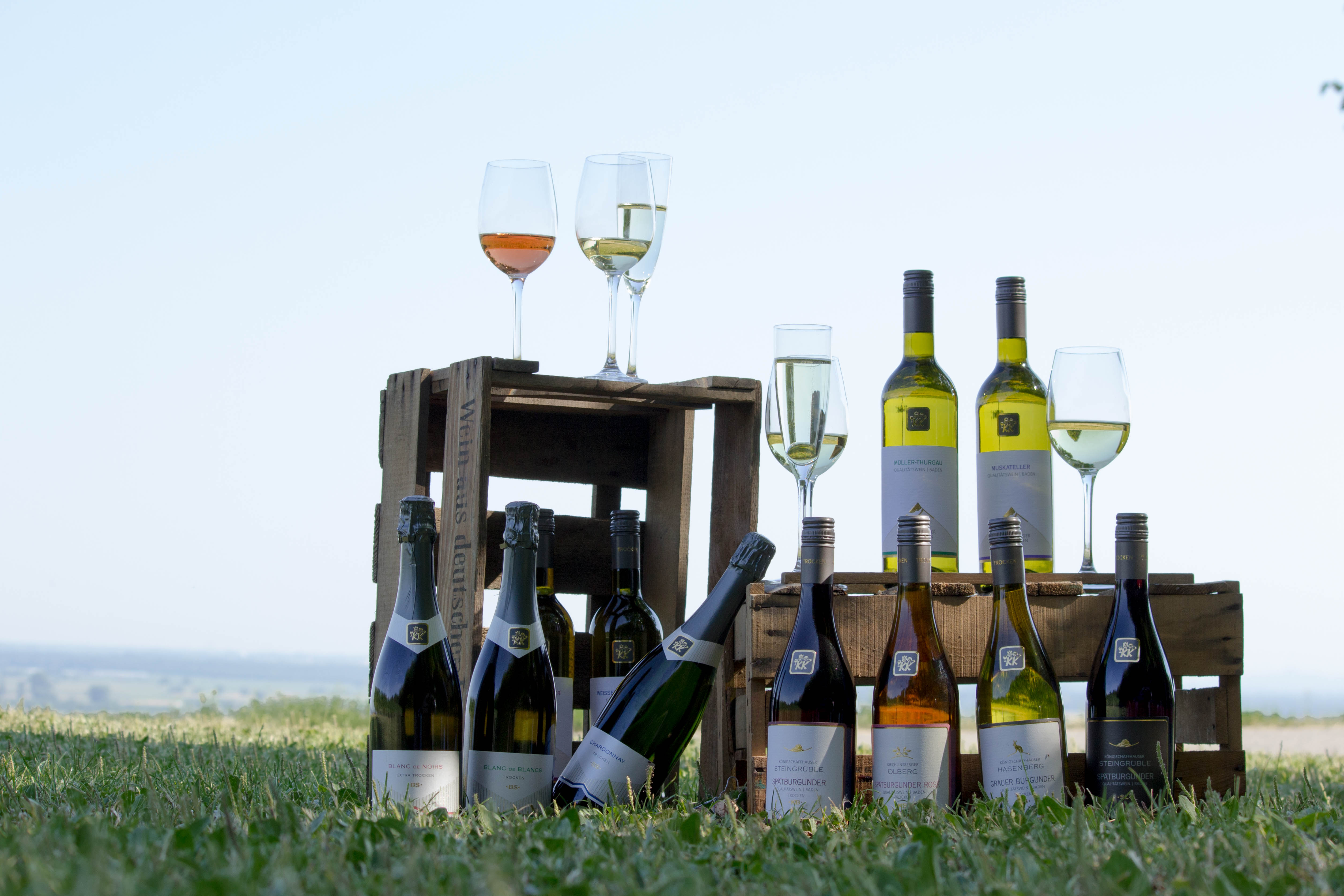 Winzergenossenschaft Königschaffhausen-Kiechlinsbergen am nördlichen Kaiserstuhl