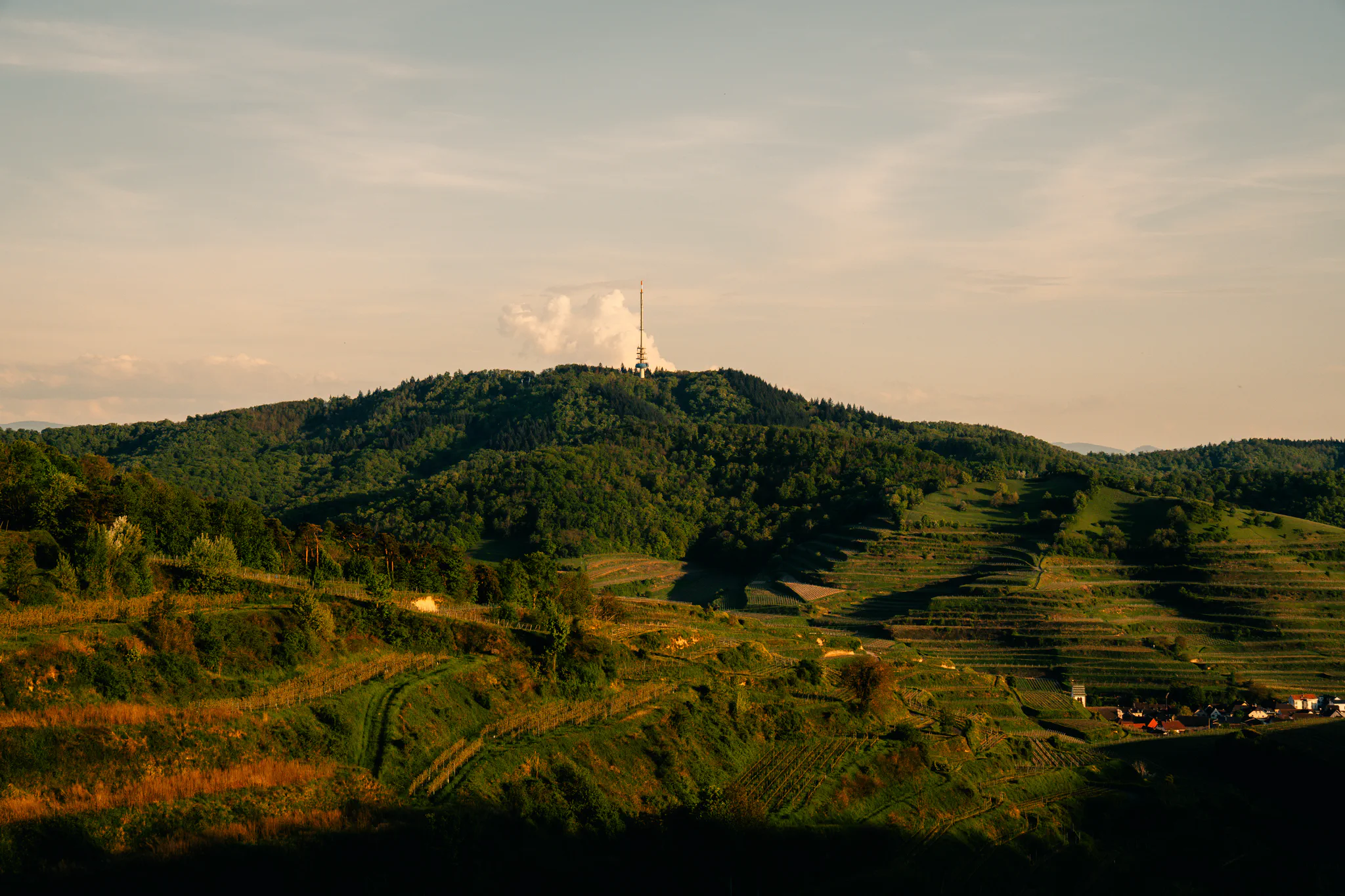 Berglandschaft am Kaiserstuhl mit bewaldeten Hügeln, Weinbergen und Sendemast bei Sonnenuntergang