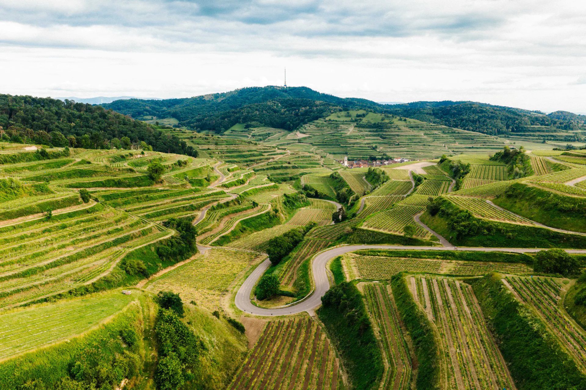 Blick vom Texaspass über die Weinberge am Kaiserstuhl