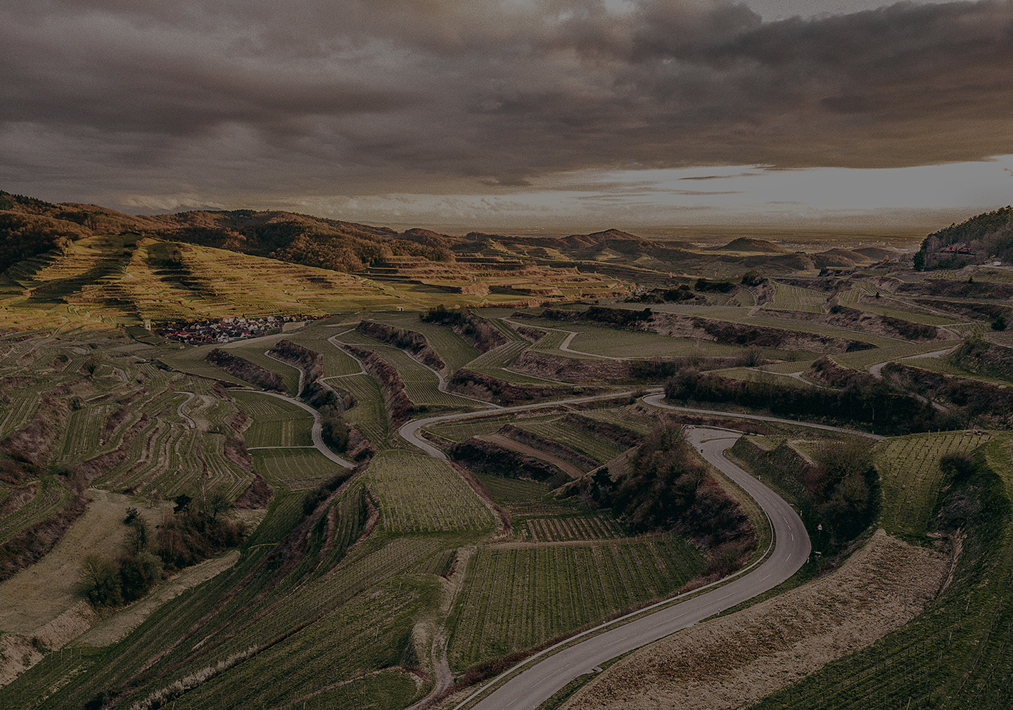 Malerische Weinberge am Kaiserstuhl mit Serpentinenstraße unter dramatischem Himmel