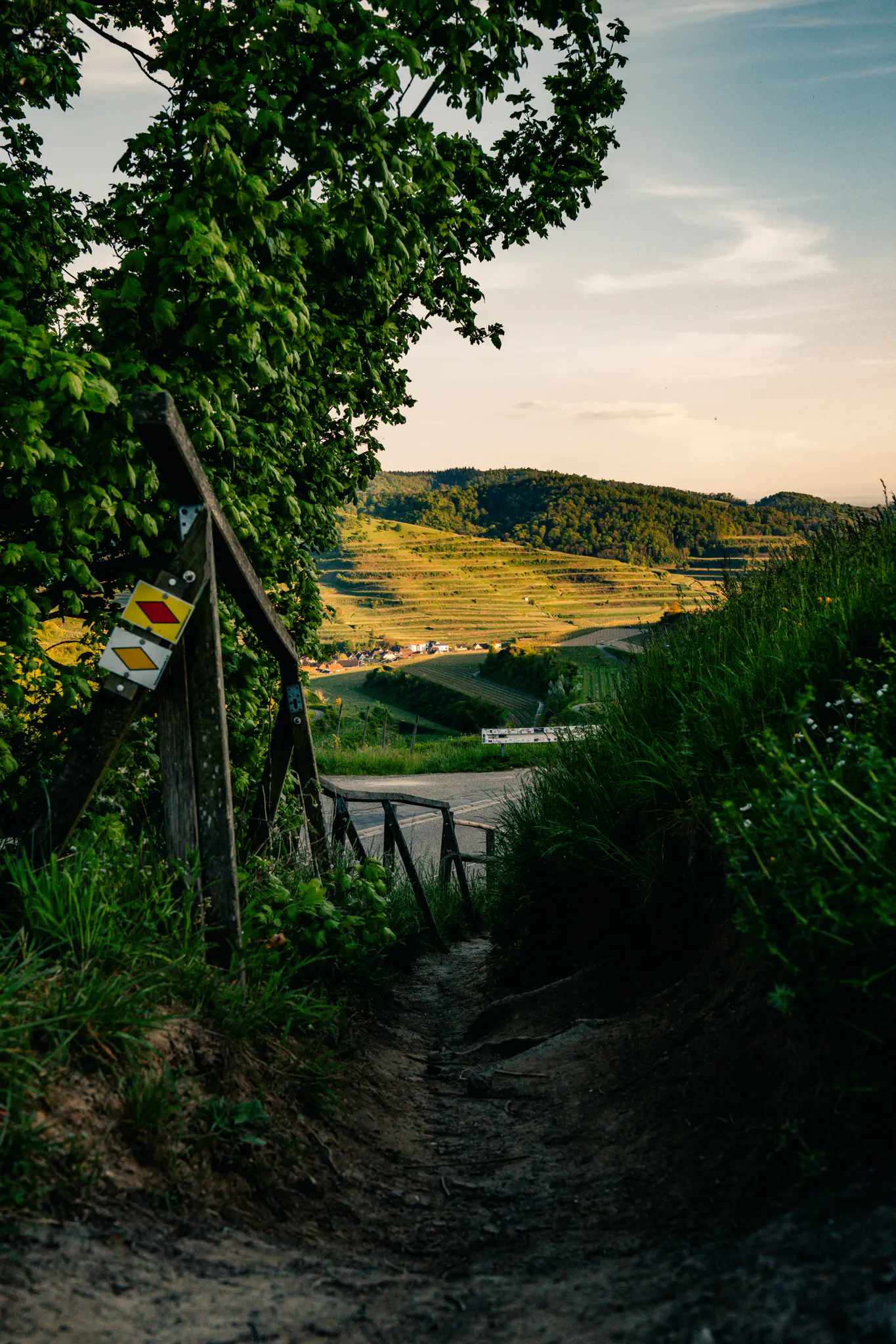 Wanderweg am Kaiserstuhl mit Wegweiser und Blick auf herbstliche Weinberge im Tal