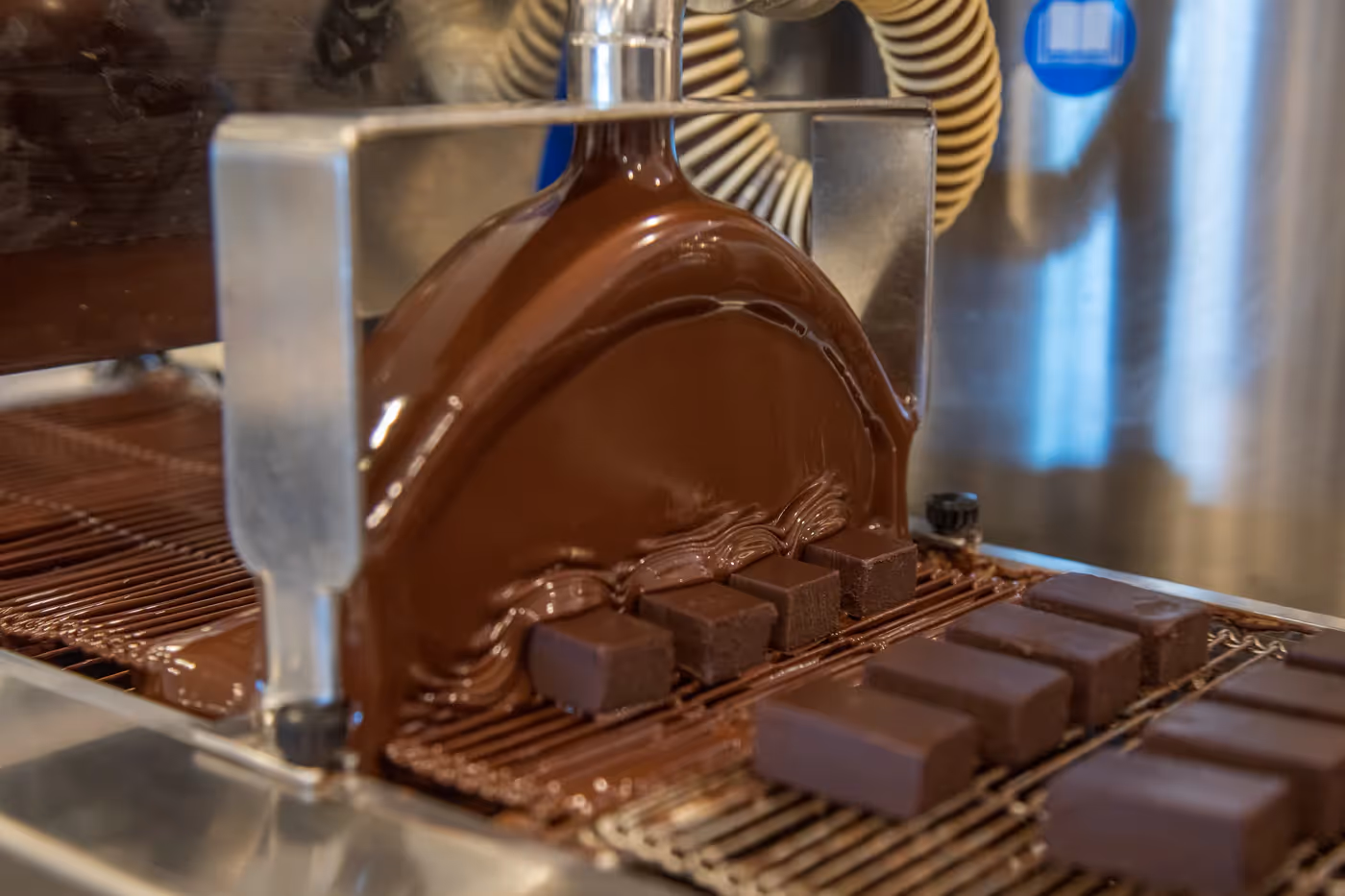 Patagonia Chocolates