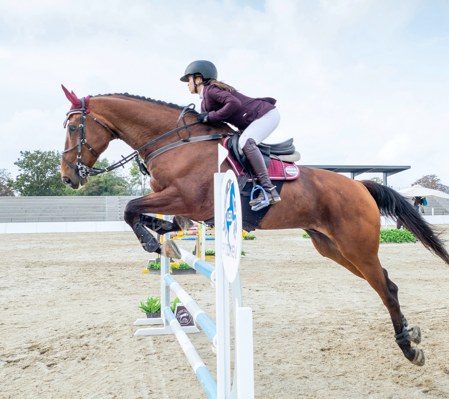 Horse Riding Image