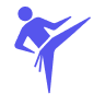 Sport Icon
