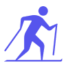 Sport Icon