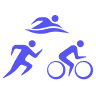 Sport Icon
