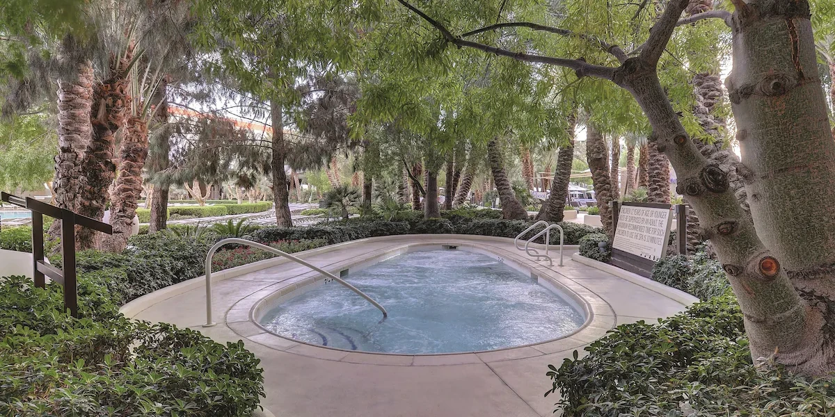 Pool Jacuzzi at Aria Resort and Casino Las Vegas.