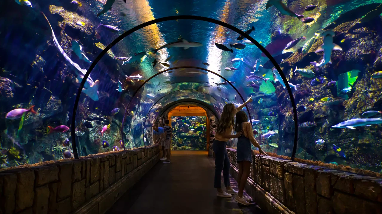 Shark Reef Aquarium | Mandalay Bay Resort and Casino Las Vegas