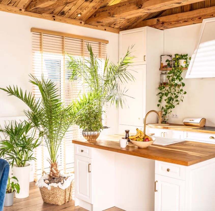 kitchen in a house