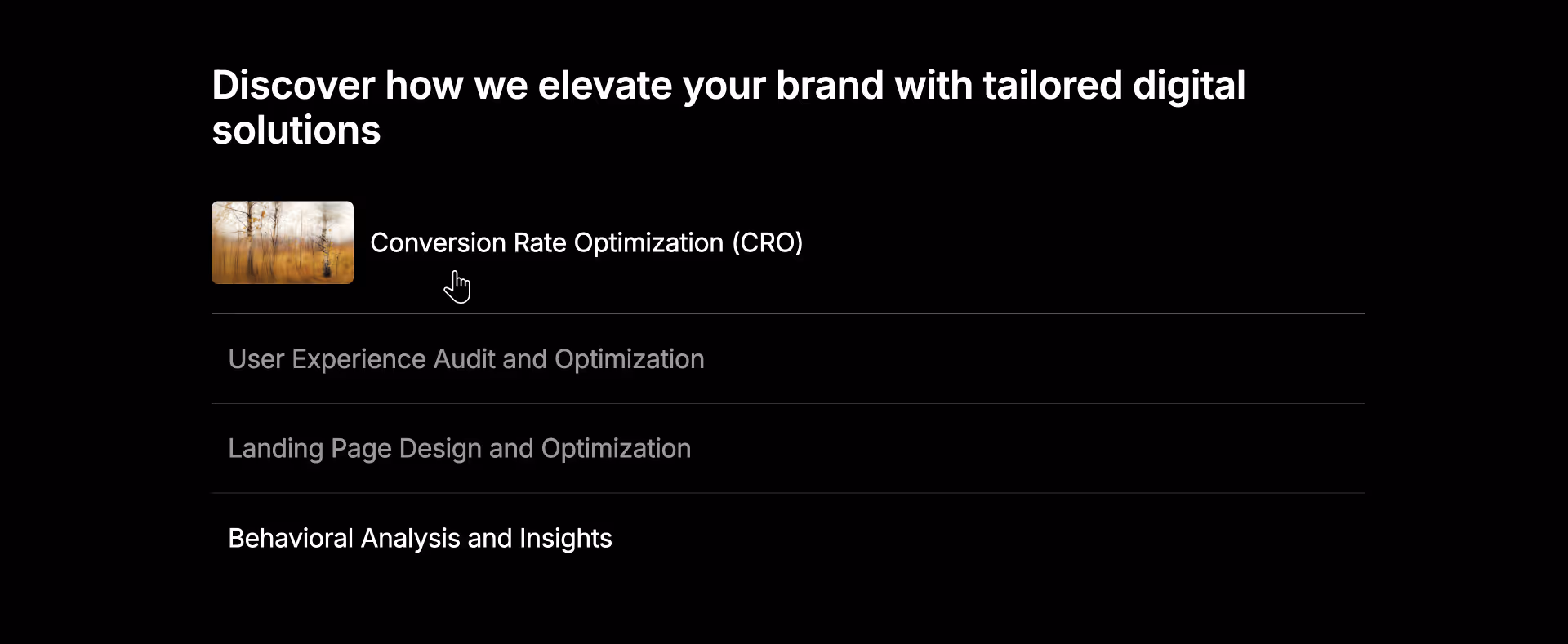 Image revealed on hover — abstract photo representing "Conversion Rate Optimization (CRO)