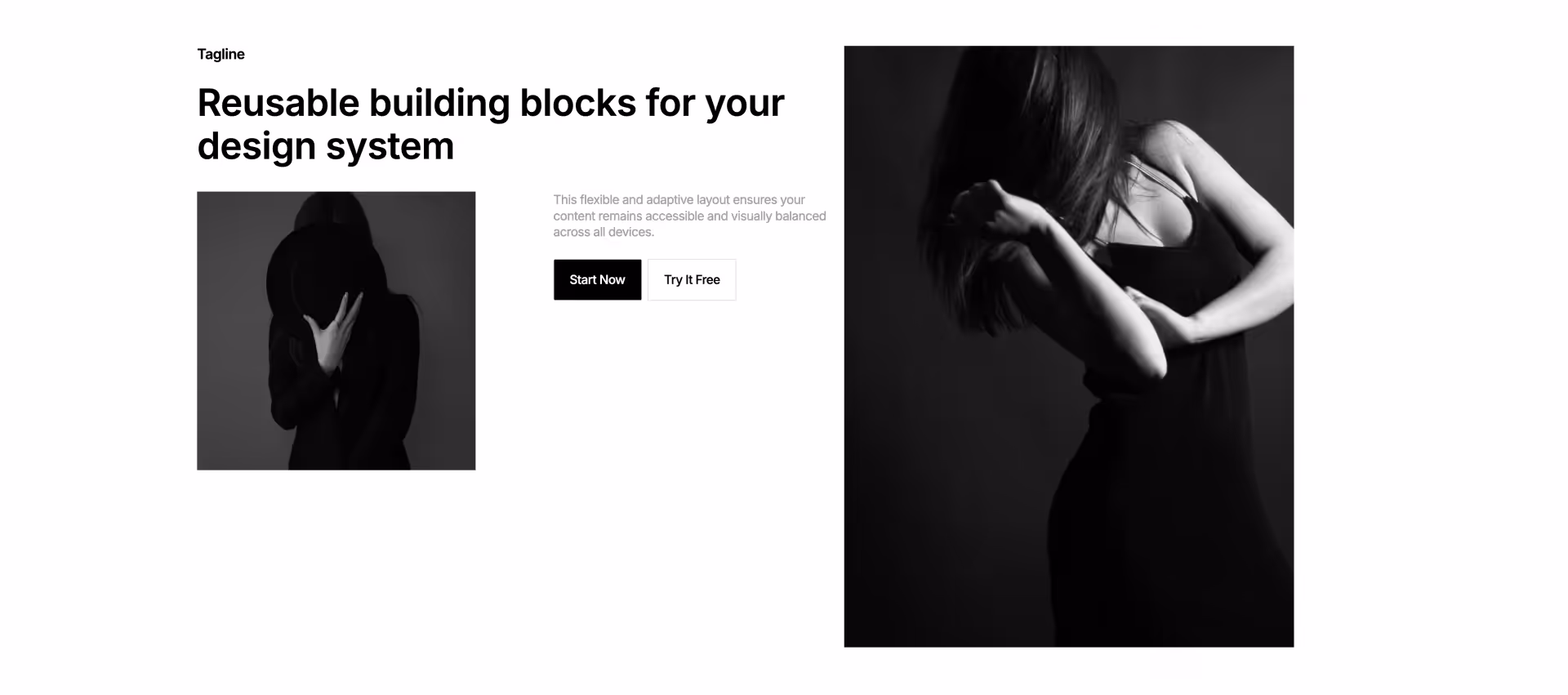Responsive Webflow feature section with headline, dual image blocks, and Start Now / Try It Free buttons