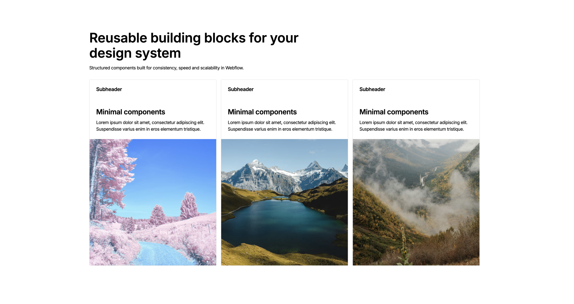 Feature card Webflow component with icon and short copy
