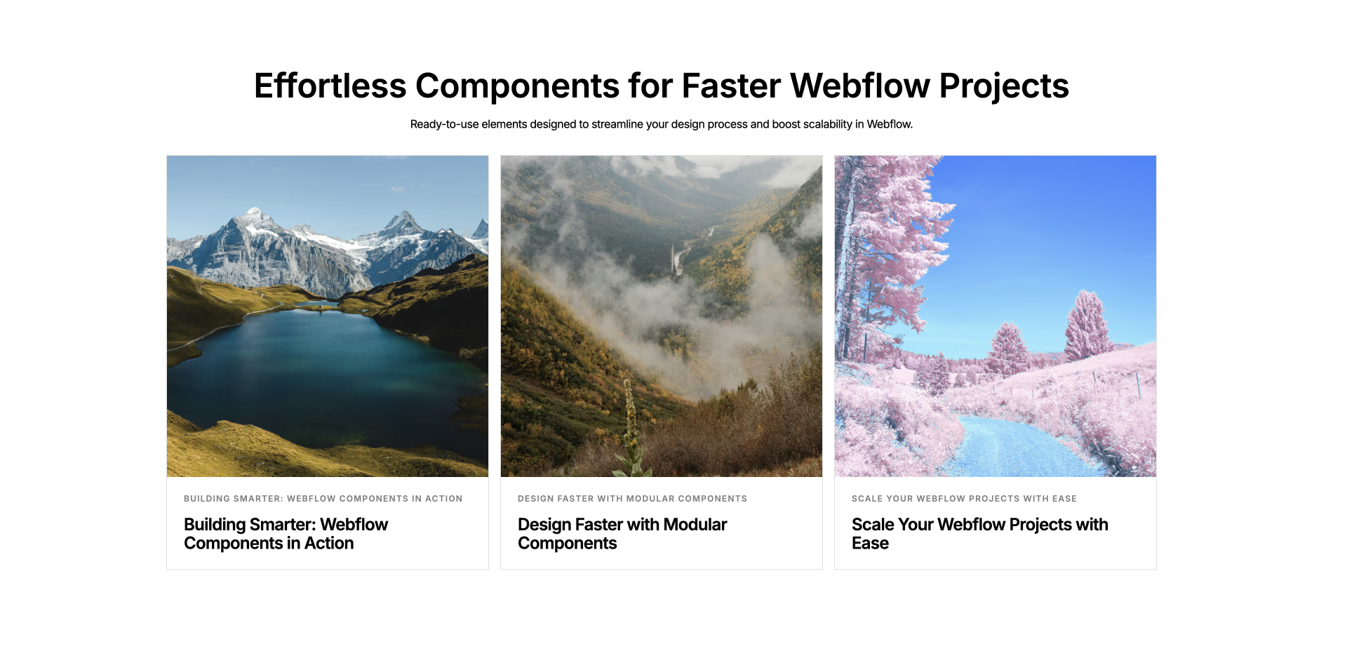 CMS-driven card Webflow component with dynamic content