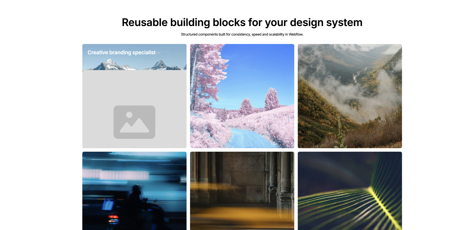Portfolio preview card Webflow component
