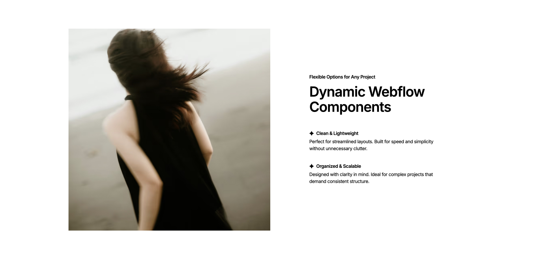 Two-column layout featuring a large abstract image on the left and a feature list on the right. Headline reads ‘Dynamic Webflow Components’ with supporting points: ‘Clean & Lightweight’ and ‘Organized & Scalable