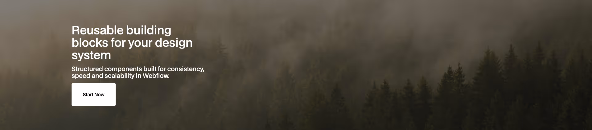 Dark-themed Webflow header component with bold white headline, supporting text, call-to-action button, and a large outline-style image icon — ideal for promoting design systems.