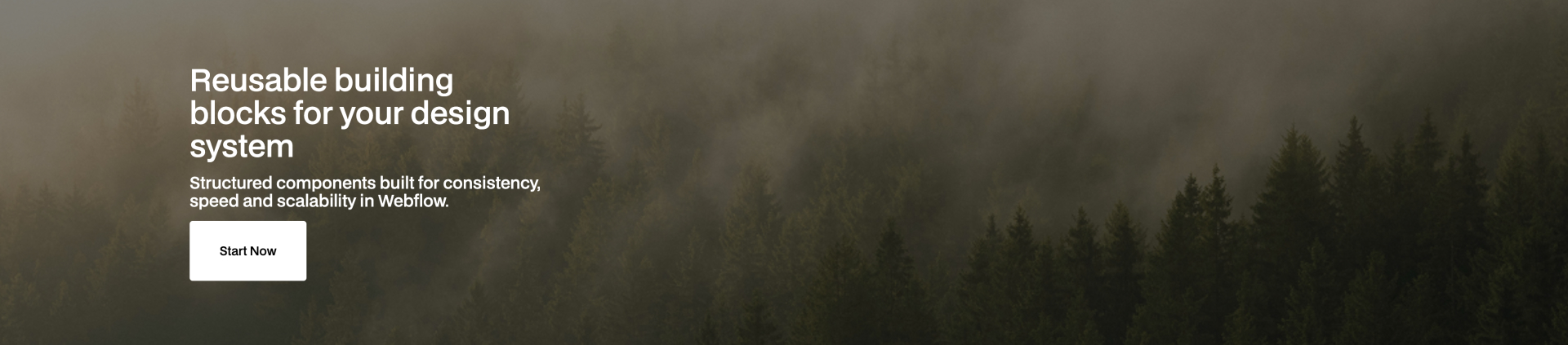 Dark-themed Webflow header component with bold white headline, supporting text, call-to-action button, and a large outline-style image icon — ideal for promoting design systems.