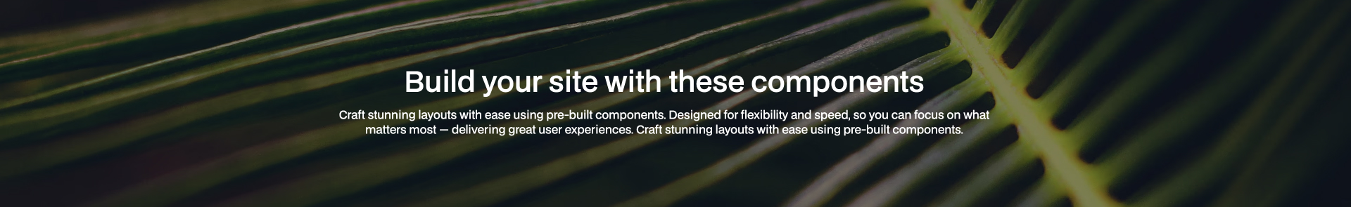 Header 19 Webflow component with centered bold heading, supporting text, call-to-action buttons, and a background image icon on a dark theme