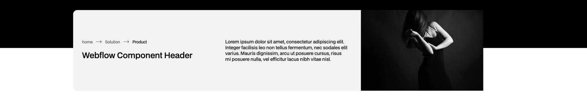 Minimal breadcrumb navigation with Webflow component header and placeholder text for product description. Clean layout with light gray background and image placeholder on the right.